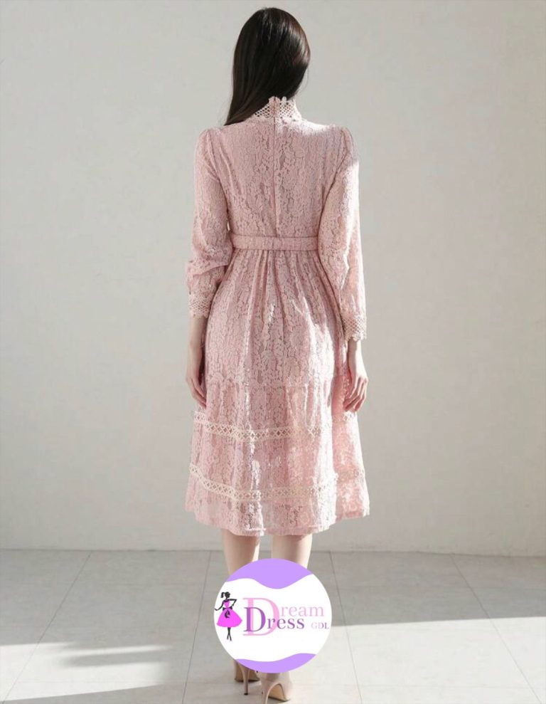 Beauty Korean Dress (3)